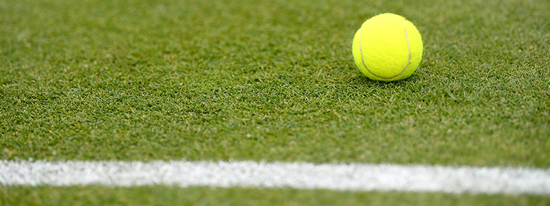 Tennis ball on grass